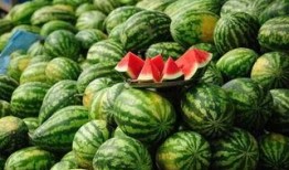 伊犁网红吃瓜事件真相,真相与反思